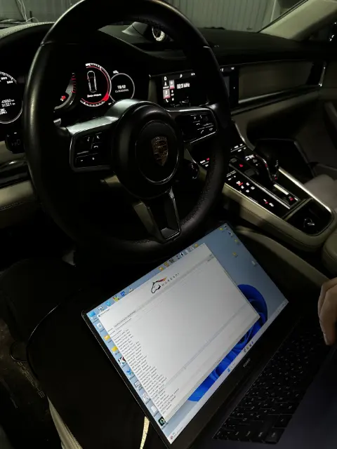 Проверка доступных электронных блоков Porsche Panamera 971